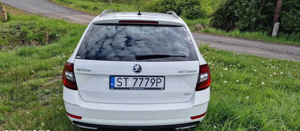 Skoda Octavia cena 90000 przebieg: 300000, rok produkcji 2019 z Mikołów małe 254